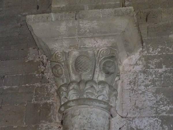 DSC09603.jpg