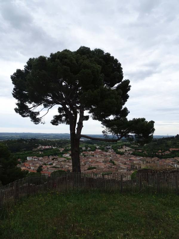 clermont_2.jpg