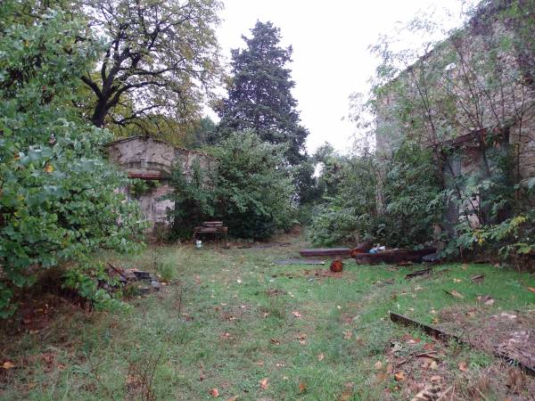 Tuilerie03.jpg