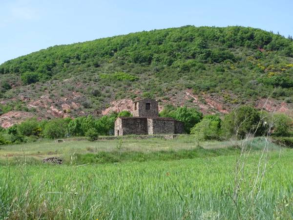DSC08822.jpg