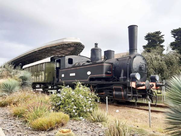 0.Train_Palavas.jpg